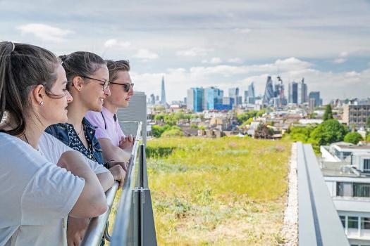 The Queen Mary Network